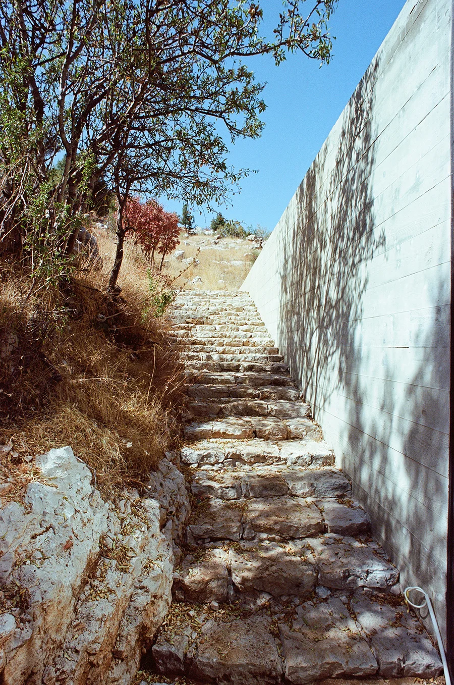Tannourine VIII