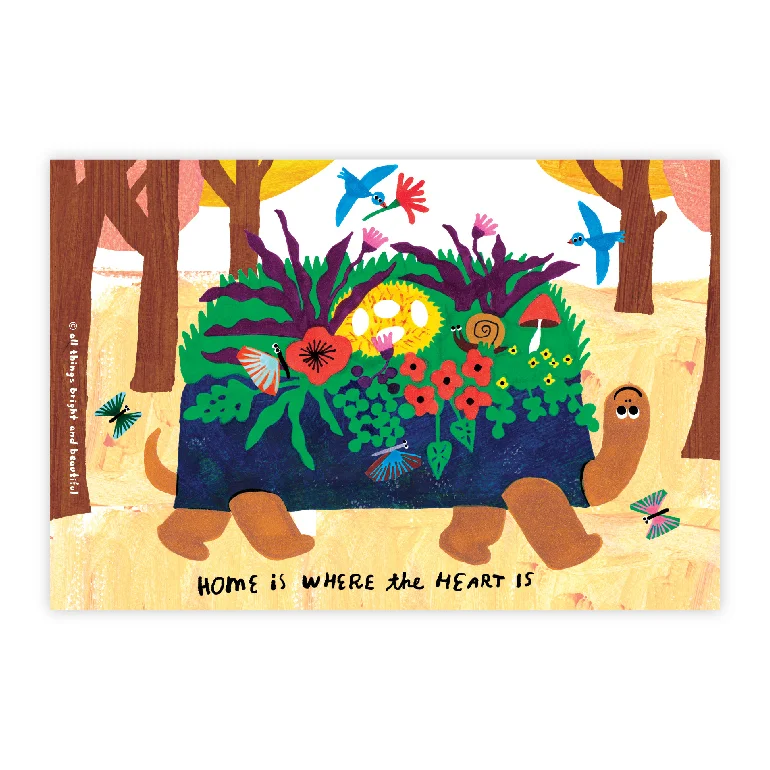 SJ-turtle-01.jpg