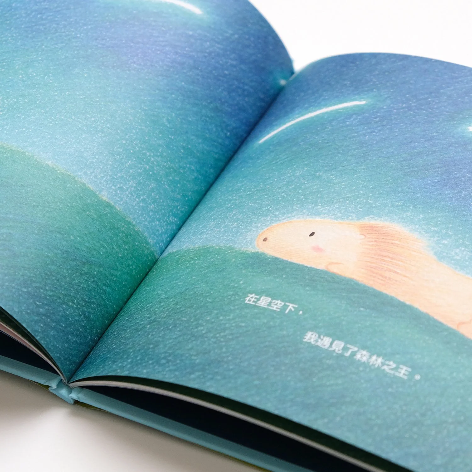 where book05.JPG
