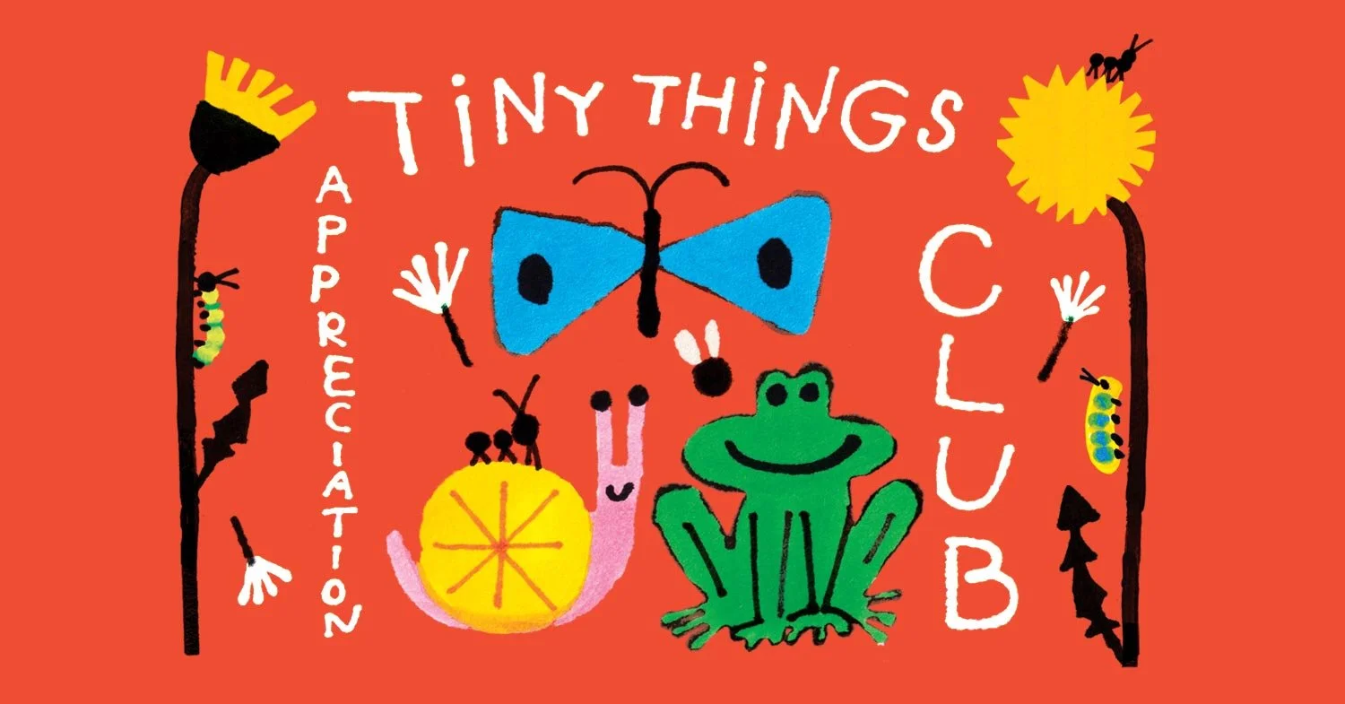 cover-tiny2.jpg