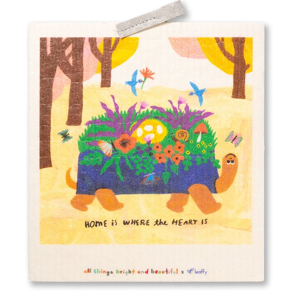 Home Sponge Cloth 屋企抹布 // pre-order 預購