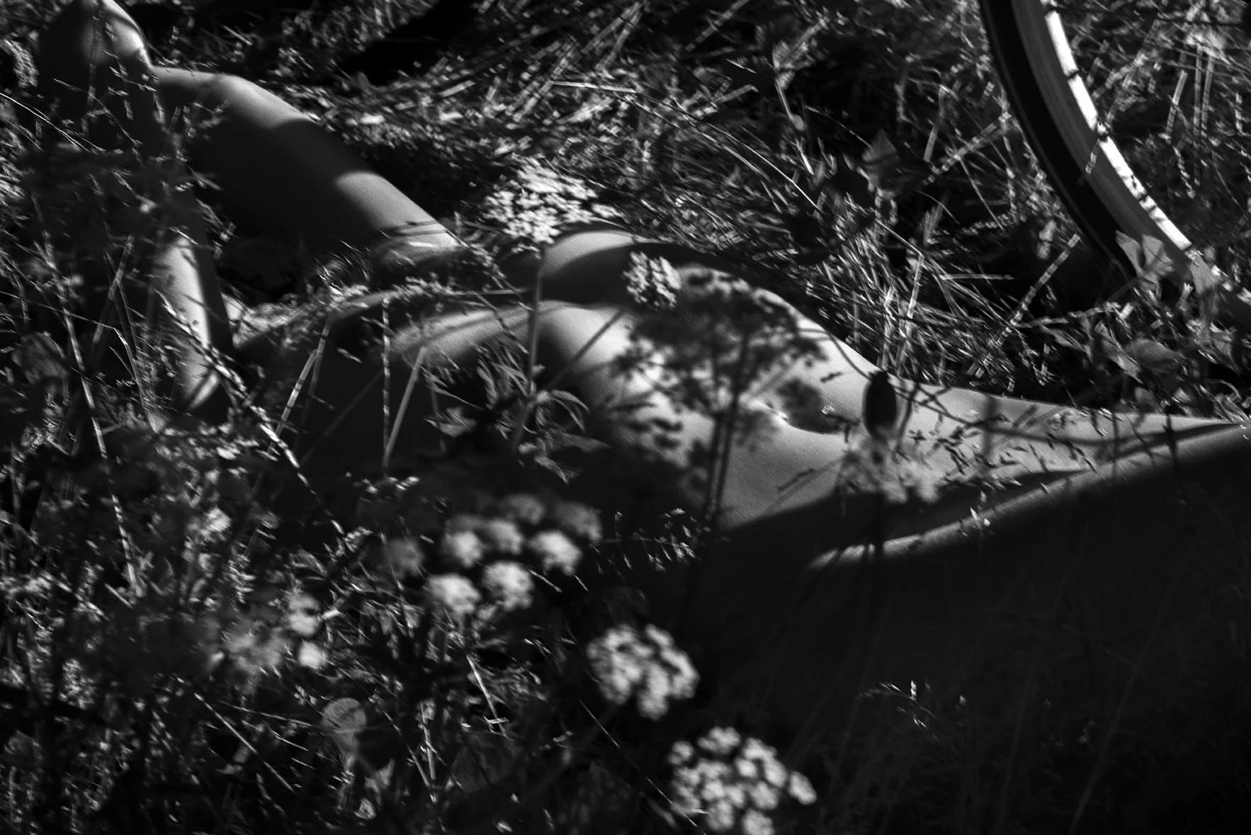 untitled shoot-20878-3_LOW.jpg