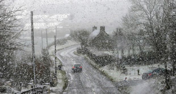 Snowfall: “I’ve seen frosty mornings where the spray of a leaking hose made art out of dead stalks of cow parsley.” Photograph: Niall Carson/PA