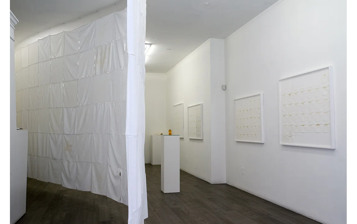 Feed, 2014, installation view at envoy enterprises