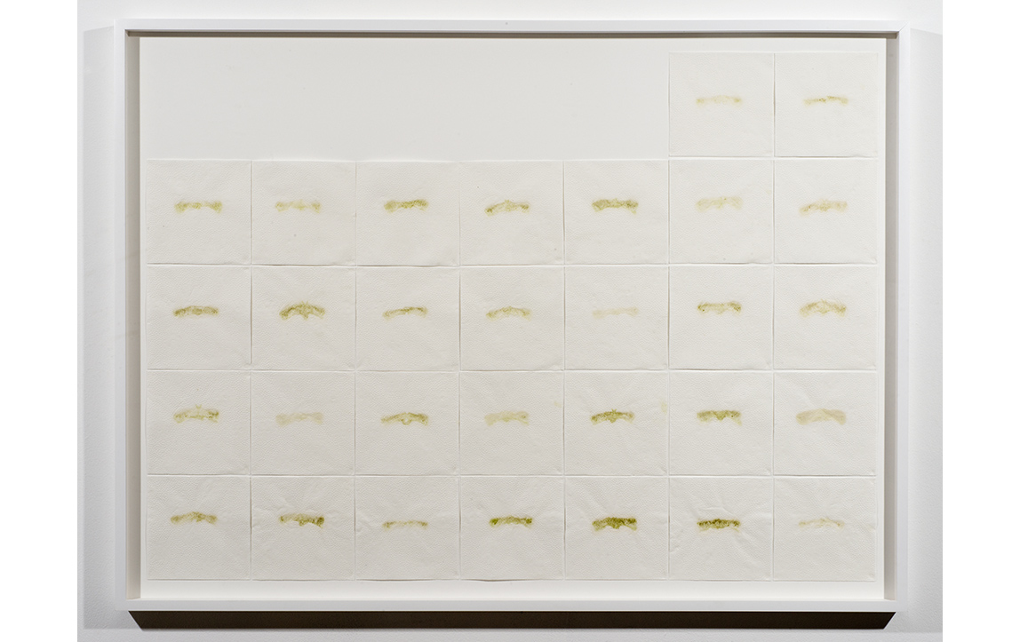 June, 2013, Cucumber, celery, fennel, rainbow chard, kale, collard greens, beet greens, dandelion greens, turnip, greens, spinach, parsley, ginger, lime juice, and lemon juice on thirty 6 x 6 in paper napkins, 34 x 45.5 x 2 in / 86.36 x 115.57 x 2cm