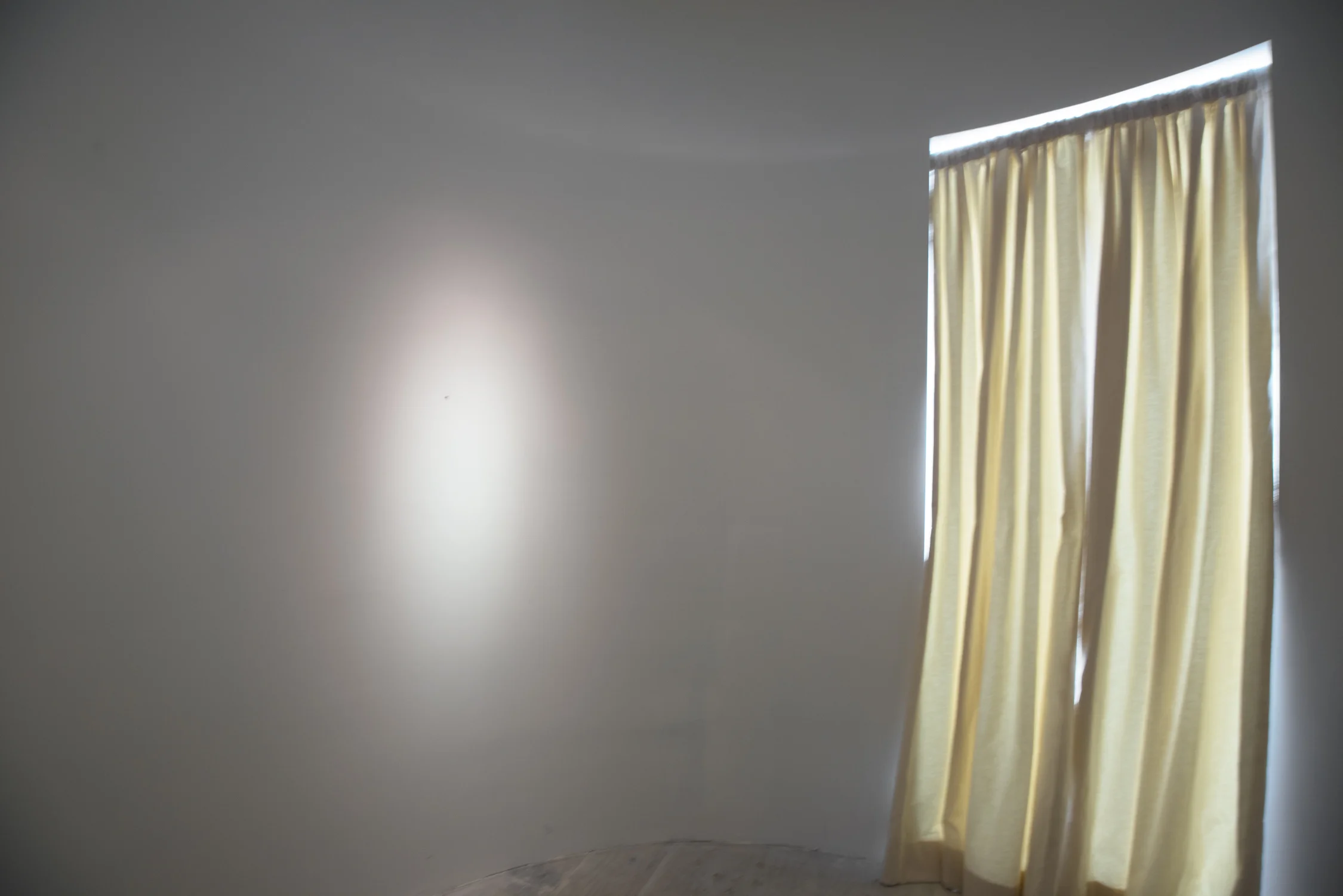 Installation view at Envoy Enterprises. 2012. scent chamber interior
