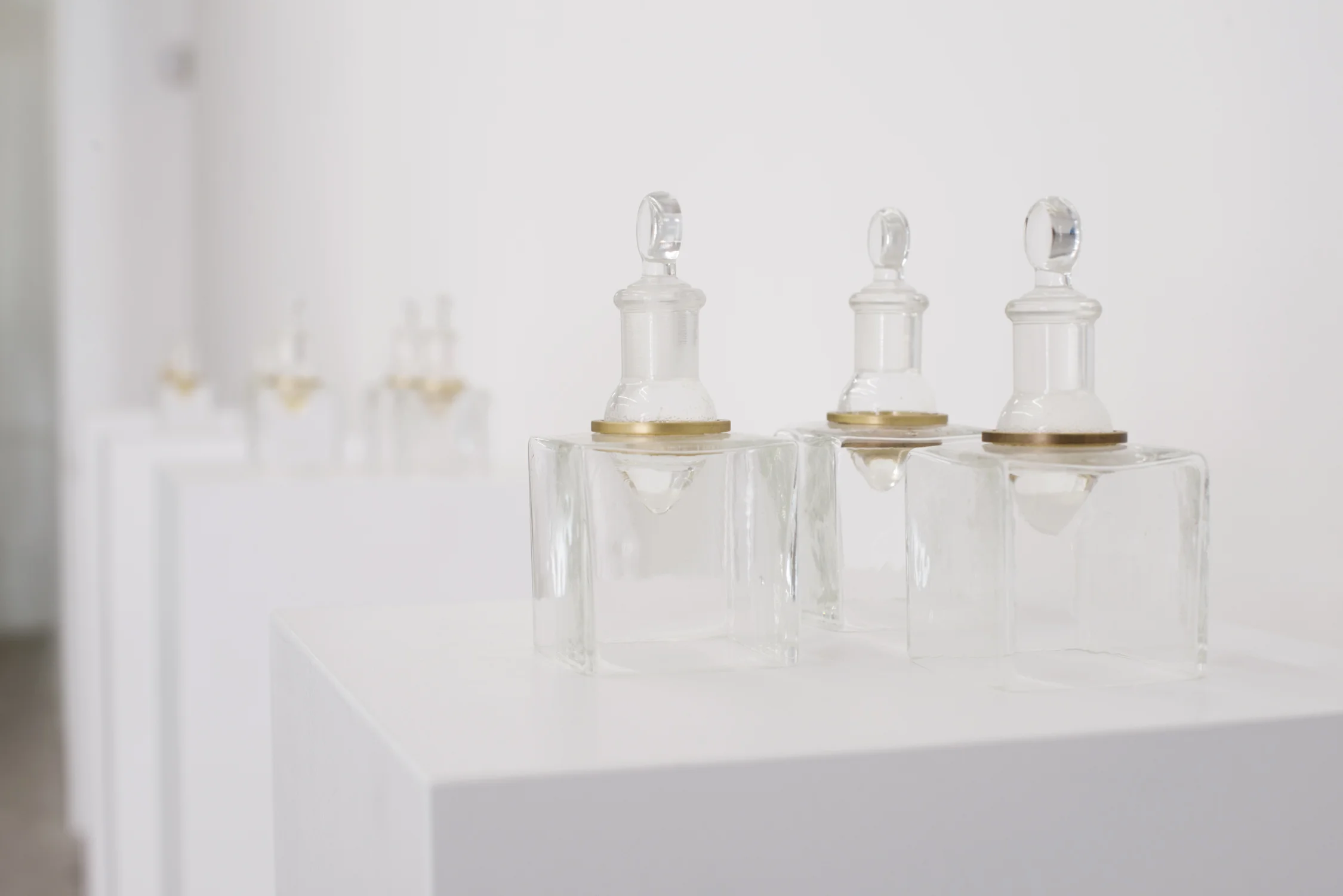 Installation view at Envoy Enterprises. 2012. organic essences detail