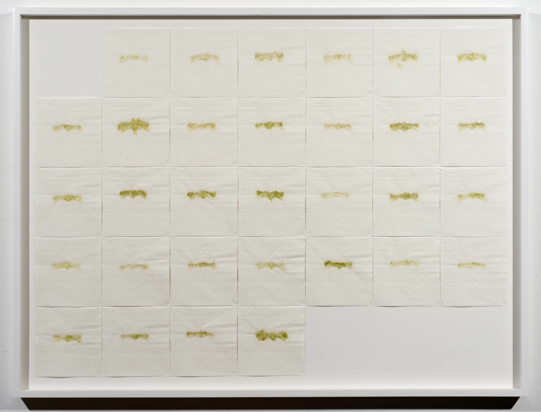 October, 2013. Cucumber, celery, fennel, rainbow chard, kale, collard greens, beet greens, dandelion greens, spinach, parsley, cilantro, ginger, lime juice, lemon juice, and E3Live powder on thirty-one 6 x 6 in paper napkins. 34 x 45.5 x 2 in