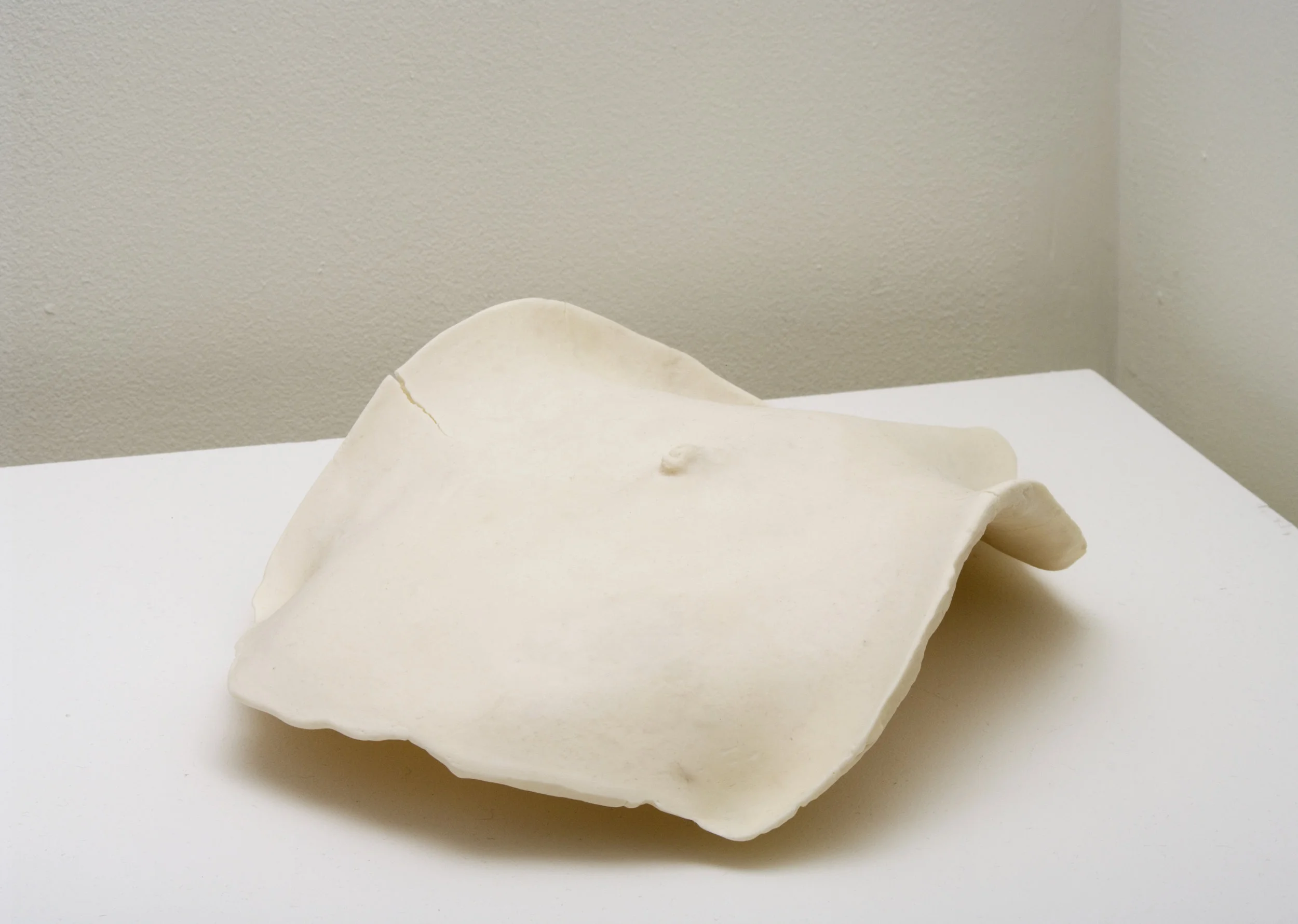 Abdomen, 2014. Decorative gum paste (sugar, corn syrup, palm oil, natural and artificial flavorings, gum tragacanth, cellulose gum, egg white, titanium dioxide, glycerine, modified corn starch, potassium sorbate, and acetic acid), powdered sugar, water, and butter 10 x 13 x 0.125 in. Unique