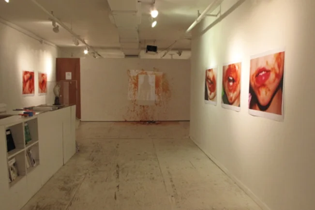 Ketchup , 2009, installation view at Envoy Enterprises.
