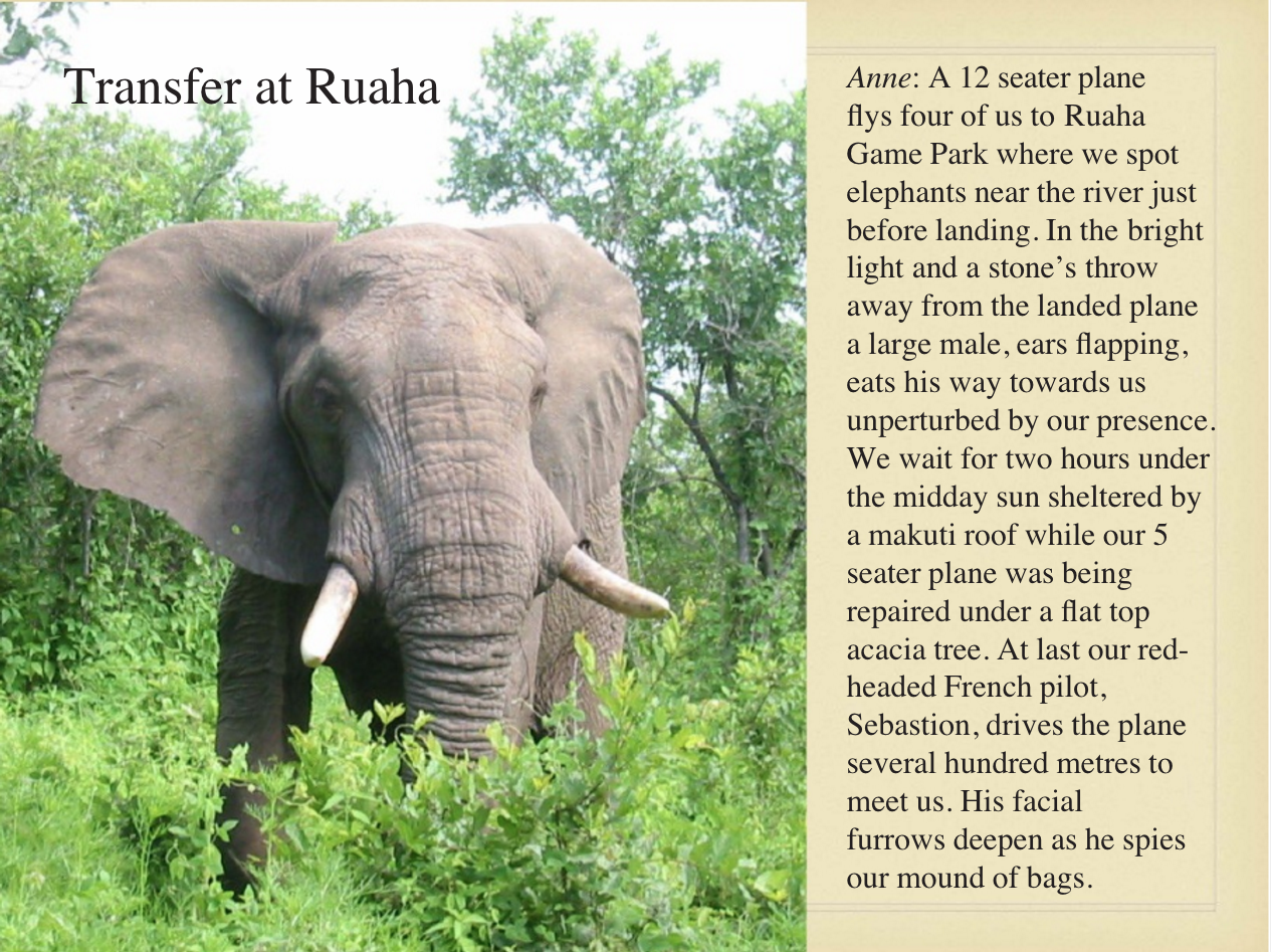 Screen Shot 2016-12-04 at 7.31.51 AM.png