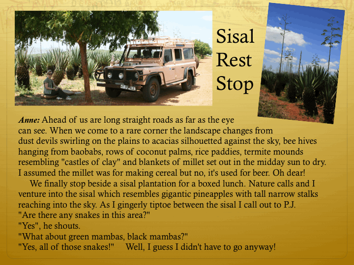 Slide0010-329820446.gif
