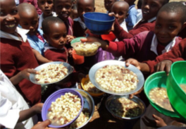 Screen Shot 2019-10-05 at 9.03.56 AM.png