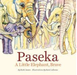 Screen Shot 2019-10-05 at 9.04.01 AM.png