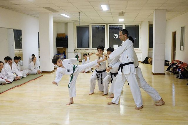 Und die restlichen Bilder der letzten Kup-Pr&uuml;fung. Nochmal herzlichen Gl&uuml;ckwunsch an alle Teilnehmer!
.
.
.
.
#taekwondo #taeguk #taeguktaekwondo #wandsbek #hamburg #sportschule #kampfkunst #kampfsport #g&uuml;rtelpr&uuml;fung #kup #dan #ko