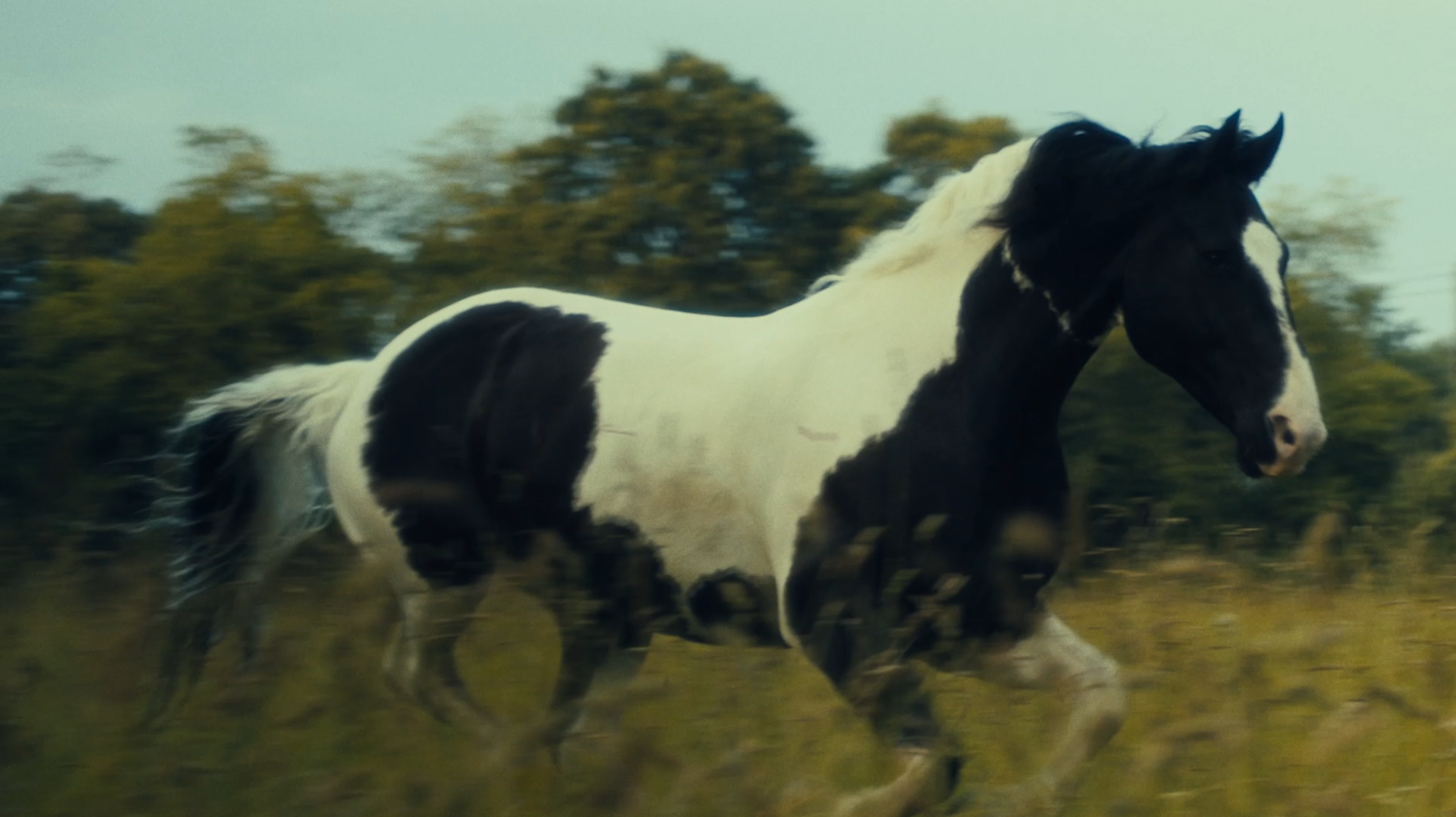 Capture d’écran 2023-11-07 à 12.41.32.png