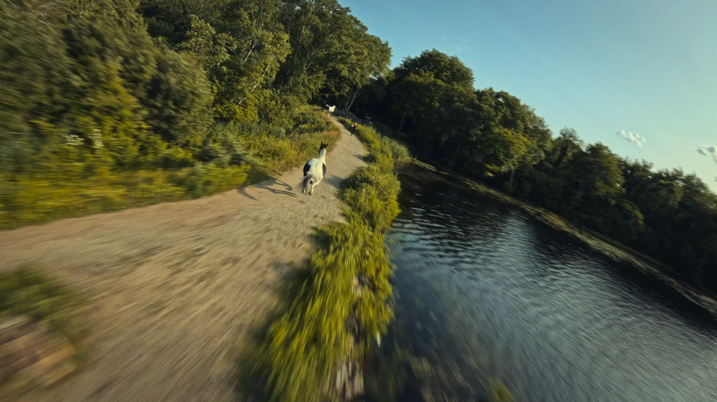 Capture d’écran 2023-11-07 à 12.41.49.png