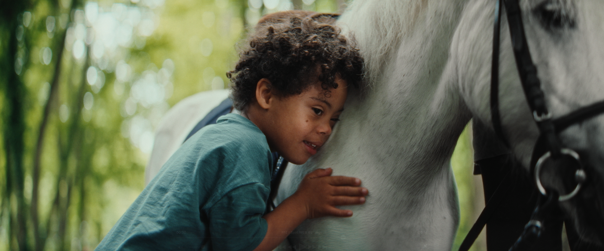 Capture d’écran 2024-10-09 à 11.57.09.png