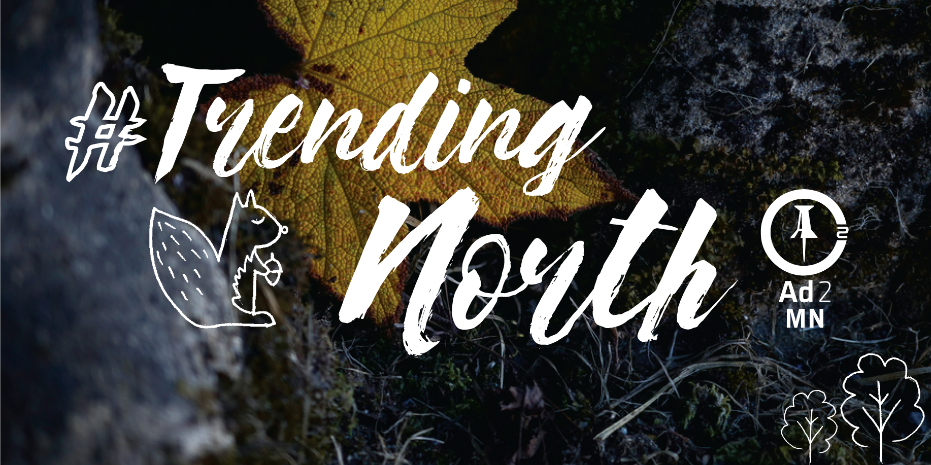 TrendingNorth_social_twitter_item.png