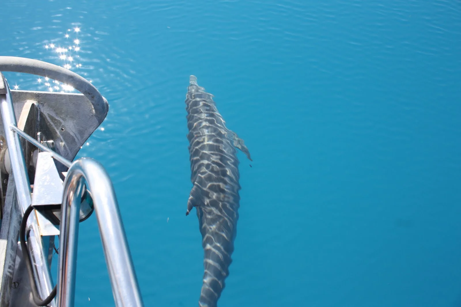 Fort Lauderdale to Galveston Texas