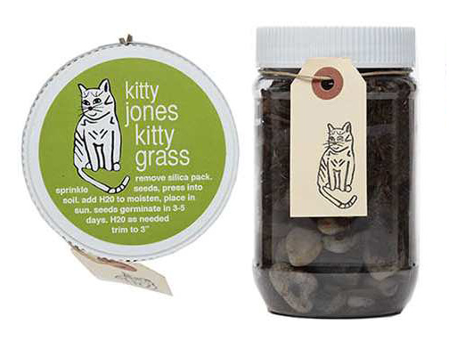 bad078e71abaebf5-KITTYJONESKITTYGRASS.jpg
