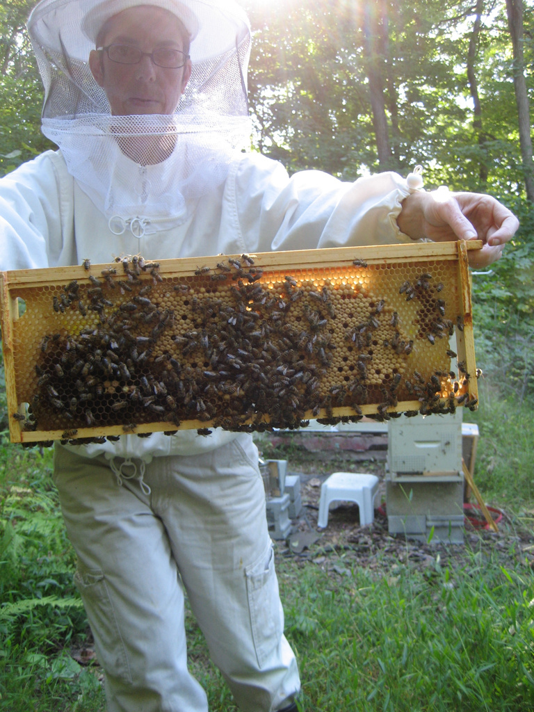 c9e4276f9e559177-deb_with_frame.jpg