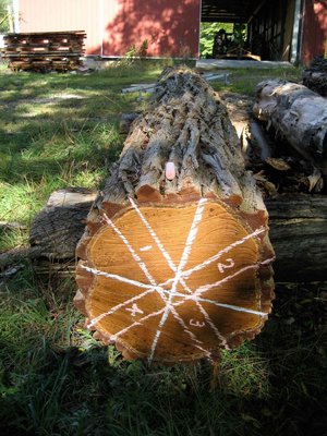sawmill-selects-5549.jpg
