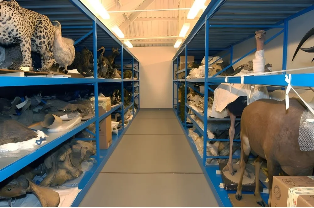 Museum Storage Racks Artwork Storage Tips from Moduflex — Moduflex Ltd.