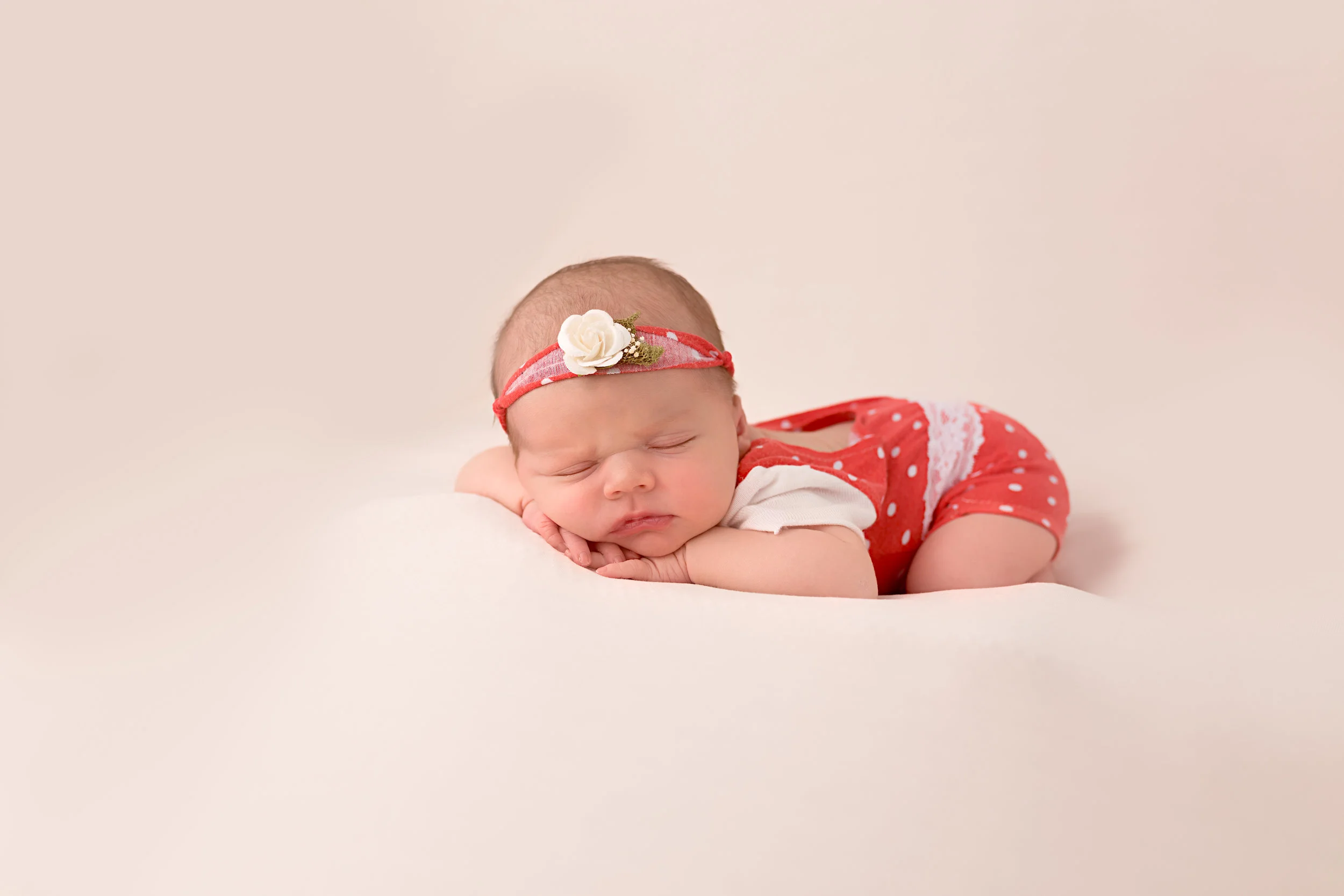colorado springs newborn portraits