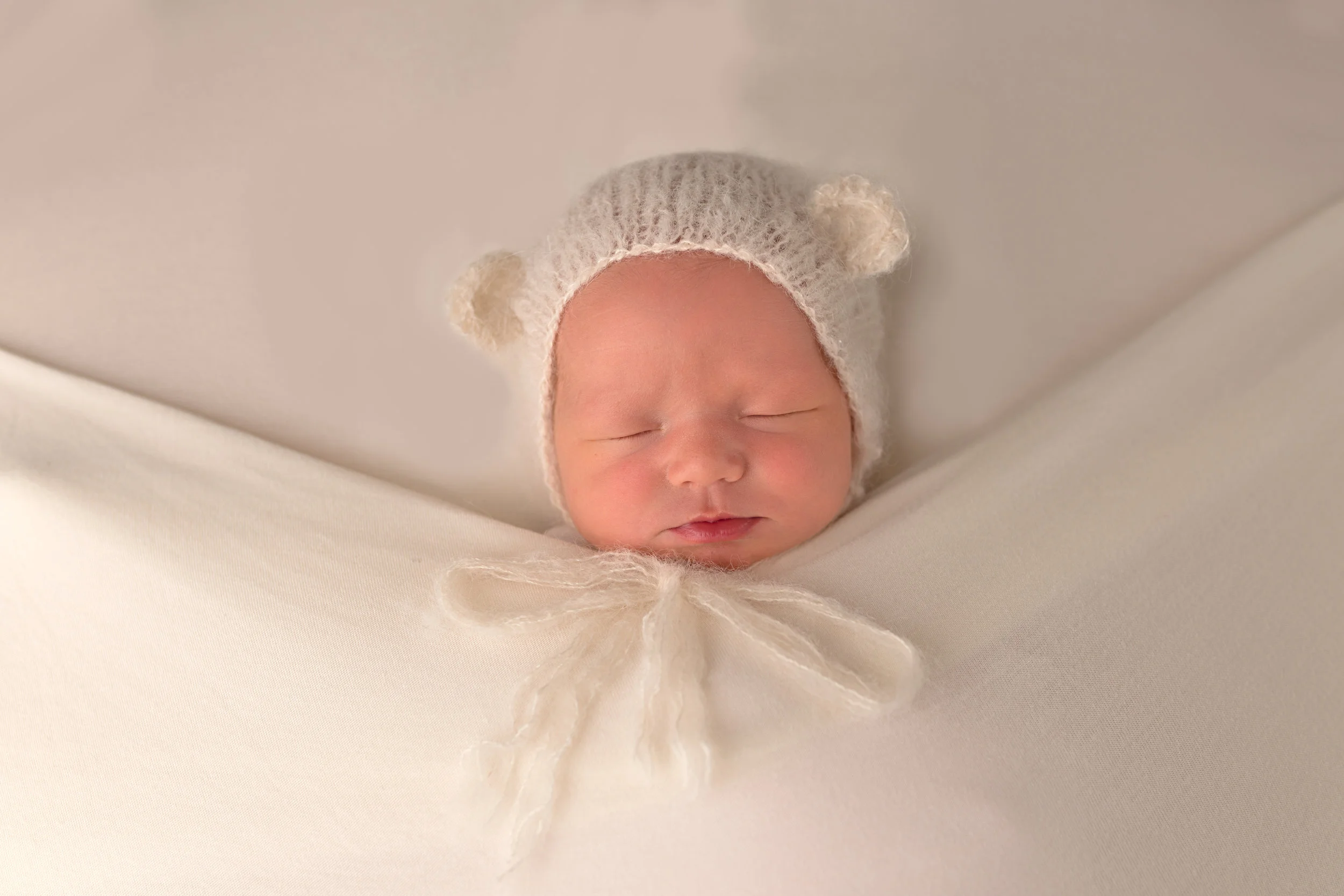 colorado springs newborn portraits