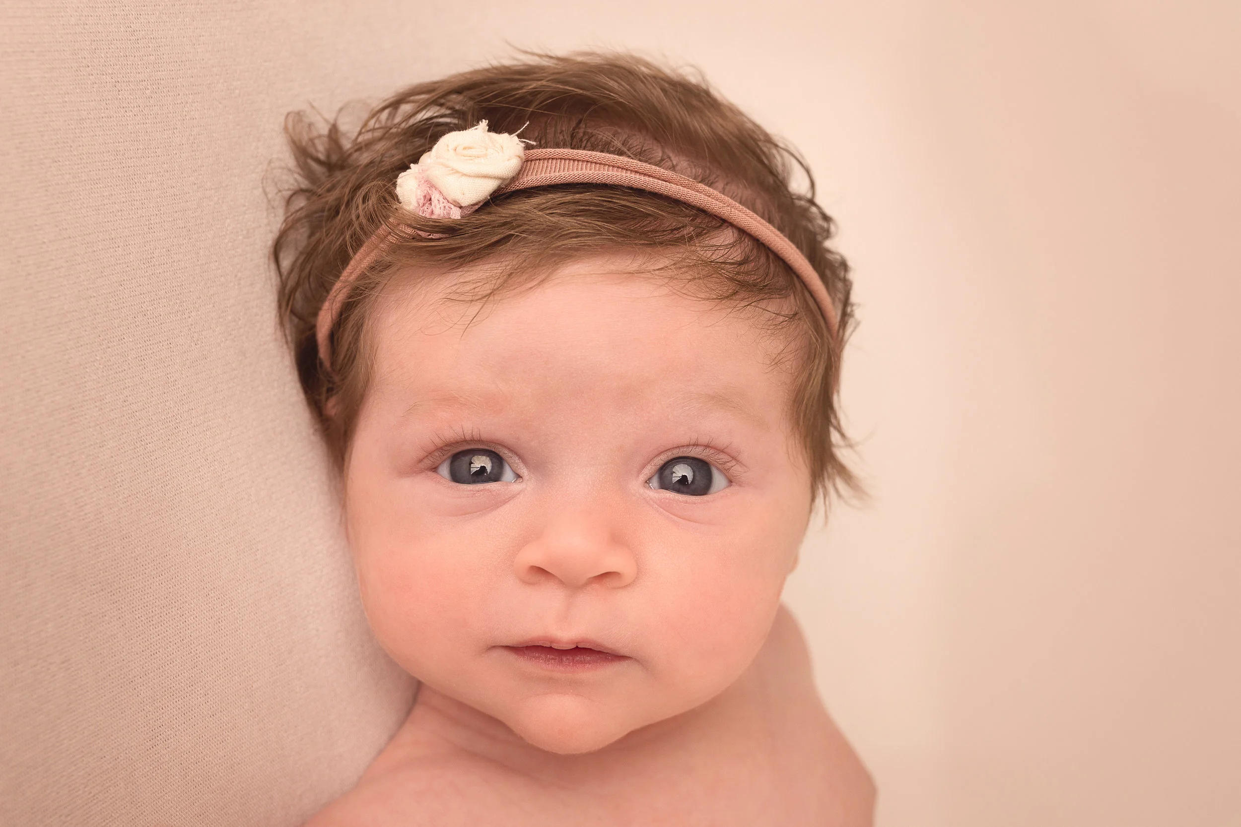colorado springs newborn portraits