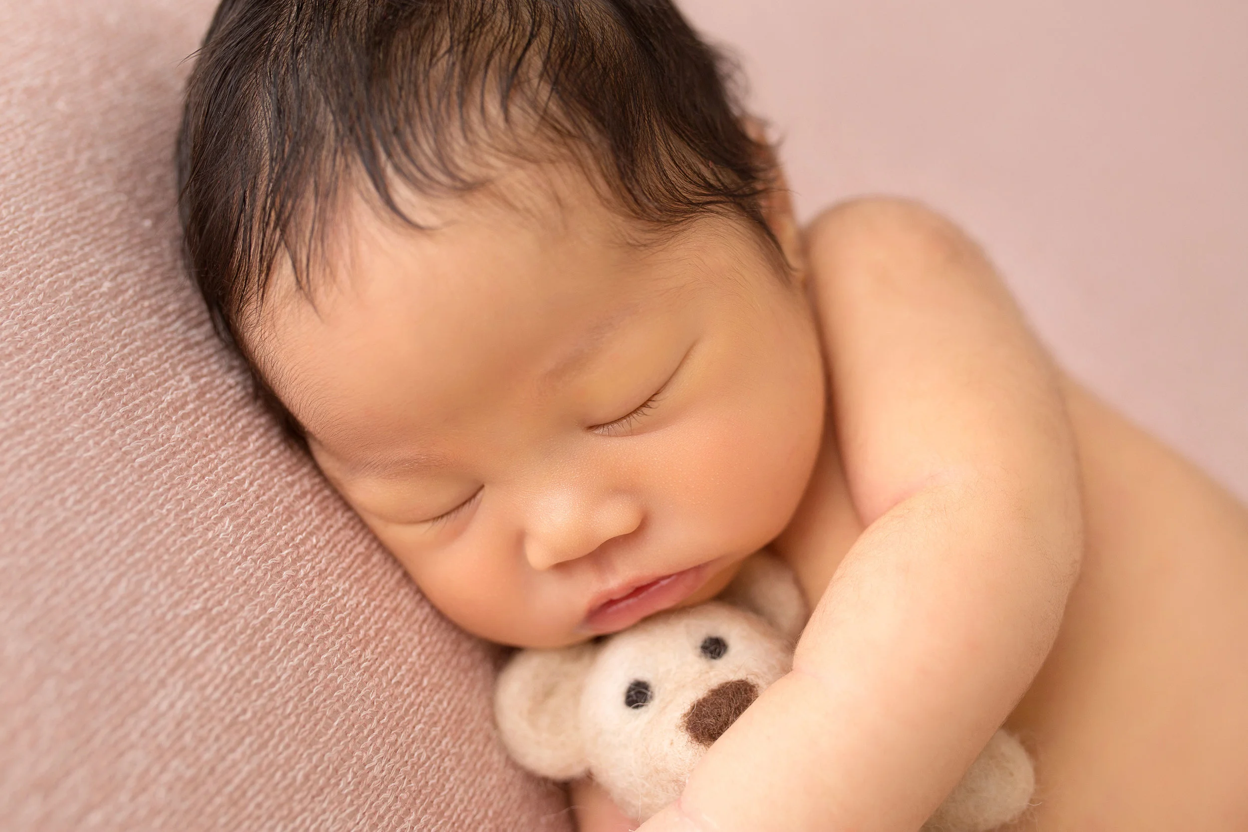 newborn pictures colorado springs
