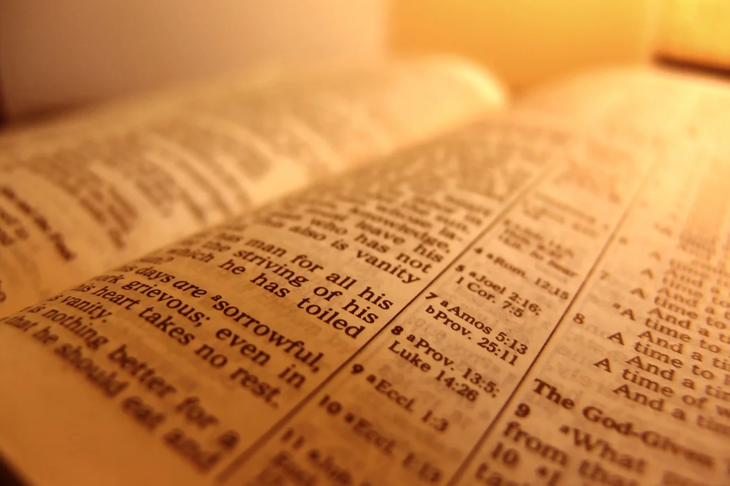 Los Sabios Buscan a Jesús