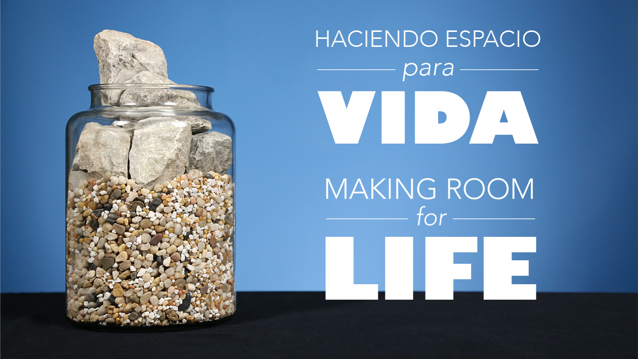 HACIENDO ESPACIO PARA VIDA: SEMANA 1 