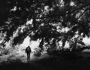 Peace Pilgrim Walking in Woods