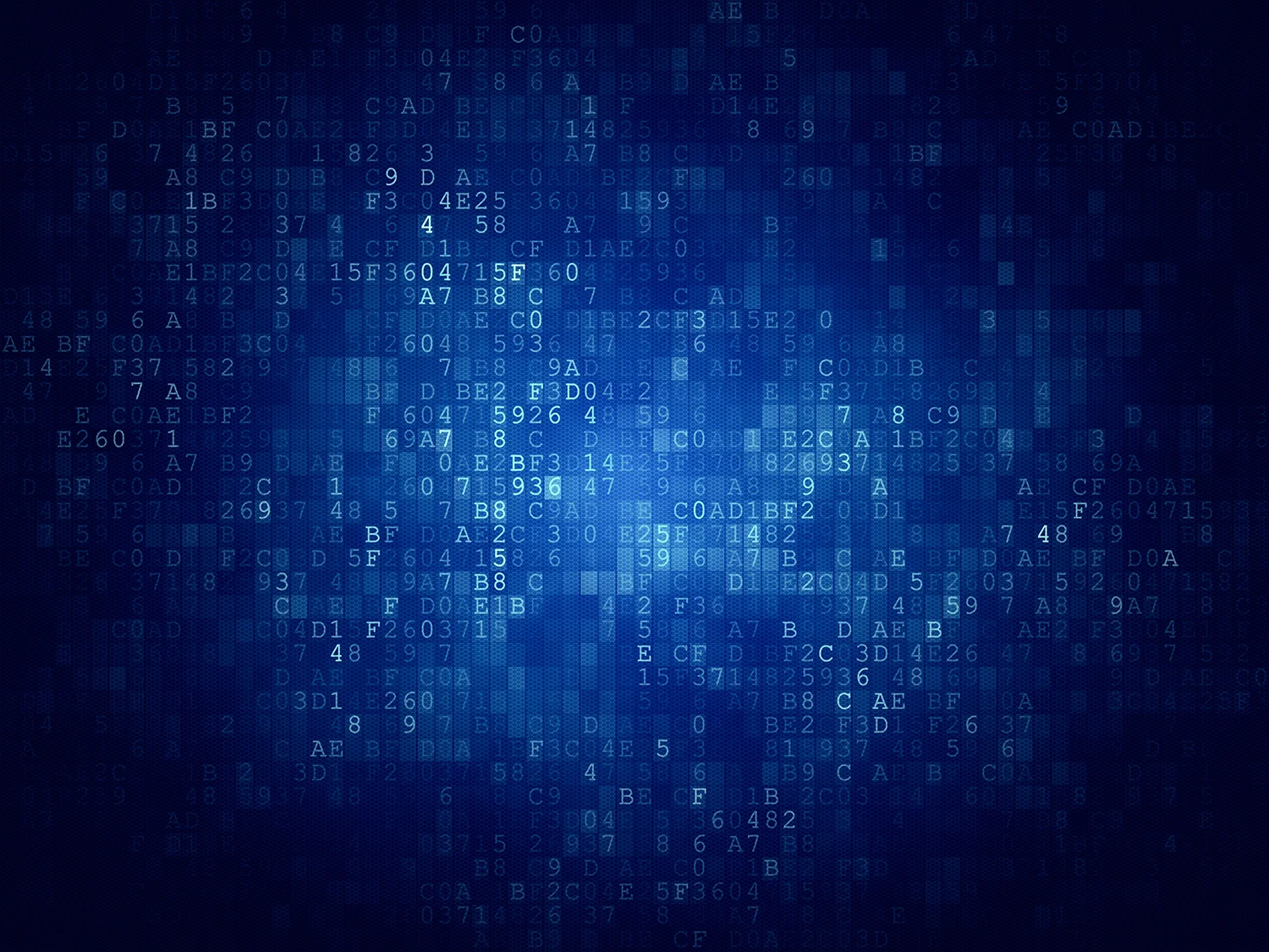 INFORMATION TECHNOLOGY.jpg