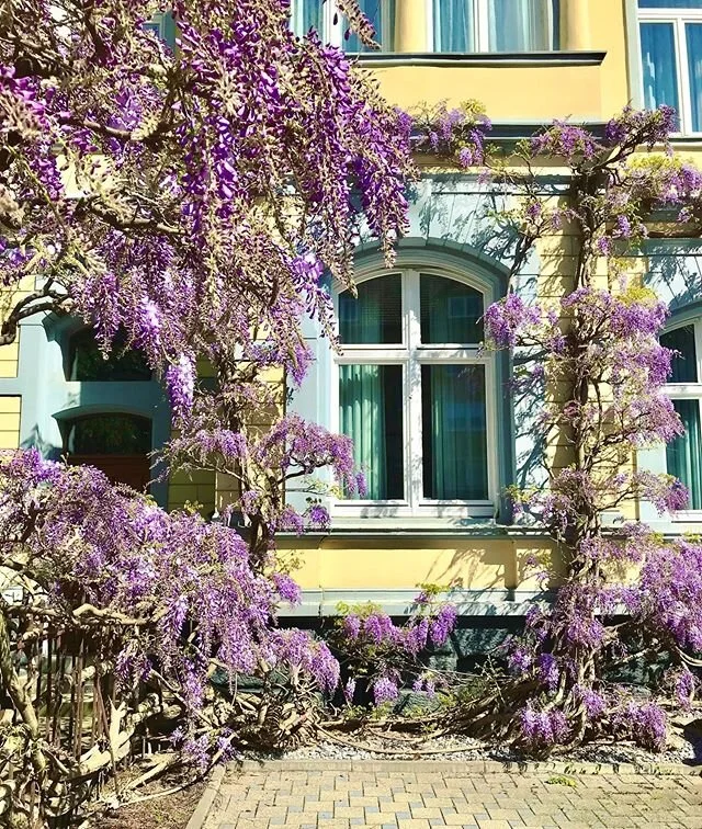 new favorite pastimes: gin rummy, snacking, and walking around taking pics of other people&rsquo;s houses like a creep