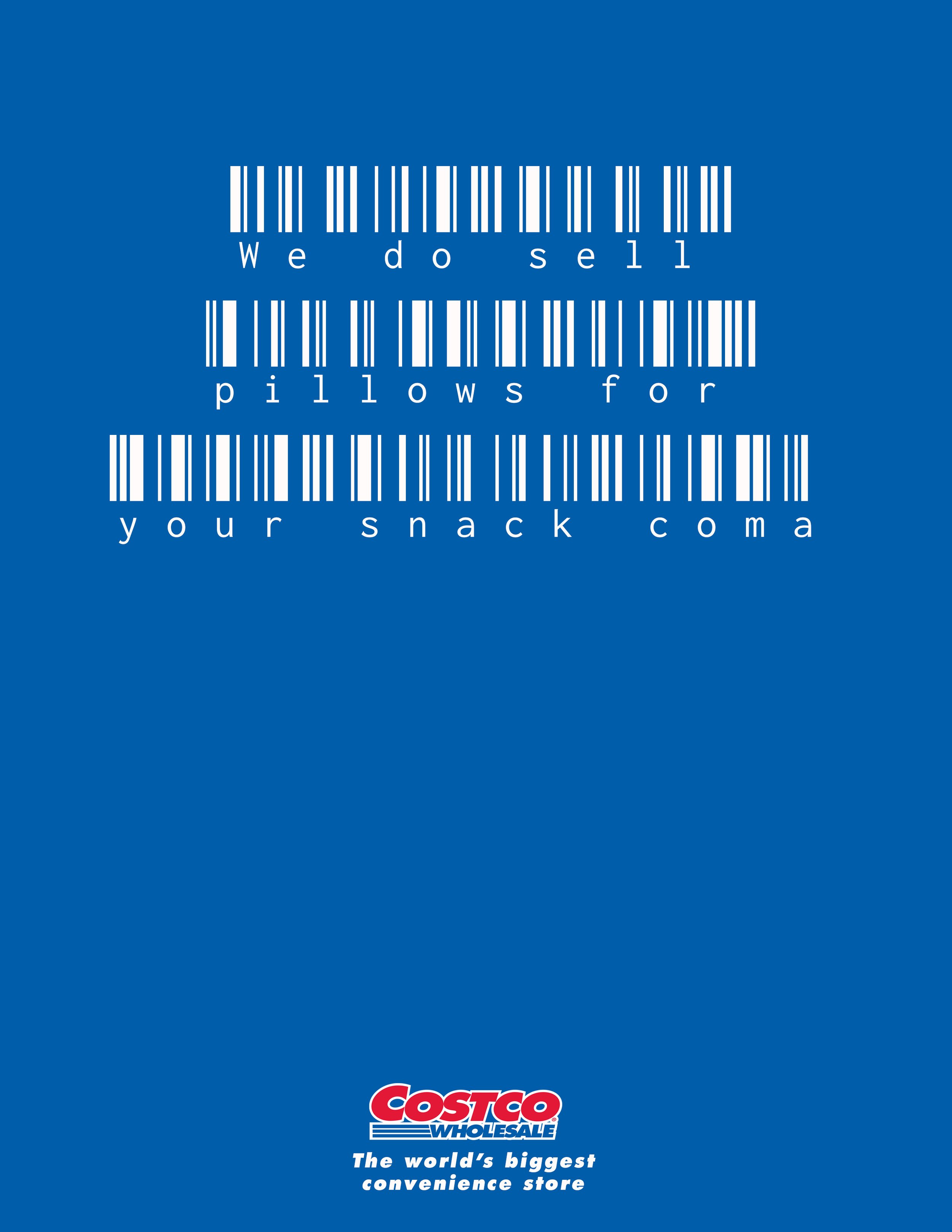 Costco Pillows.jpg