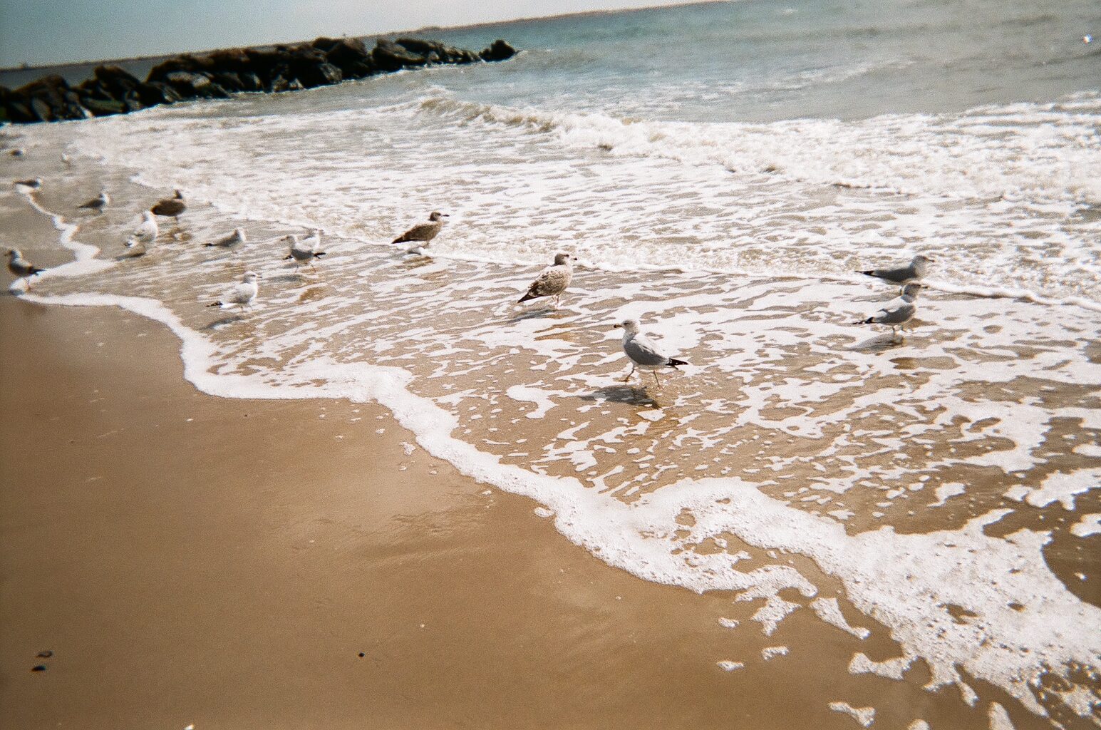 Brighton Beach