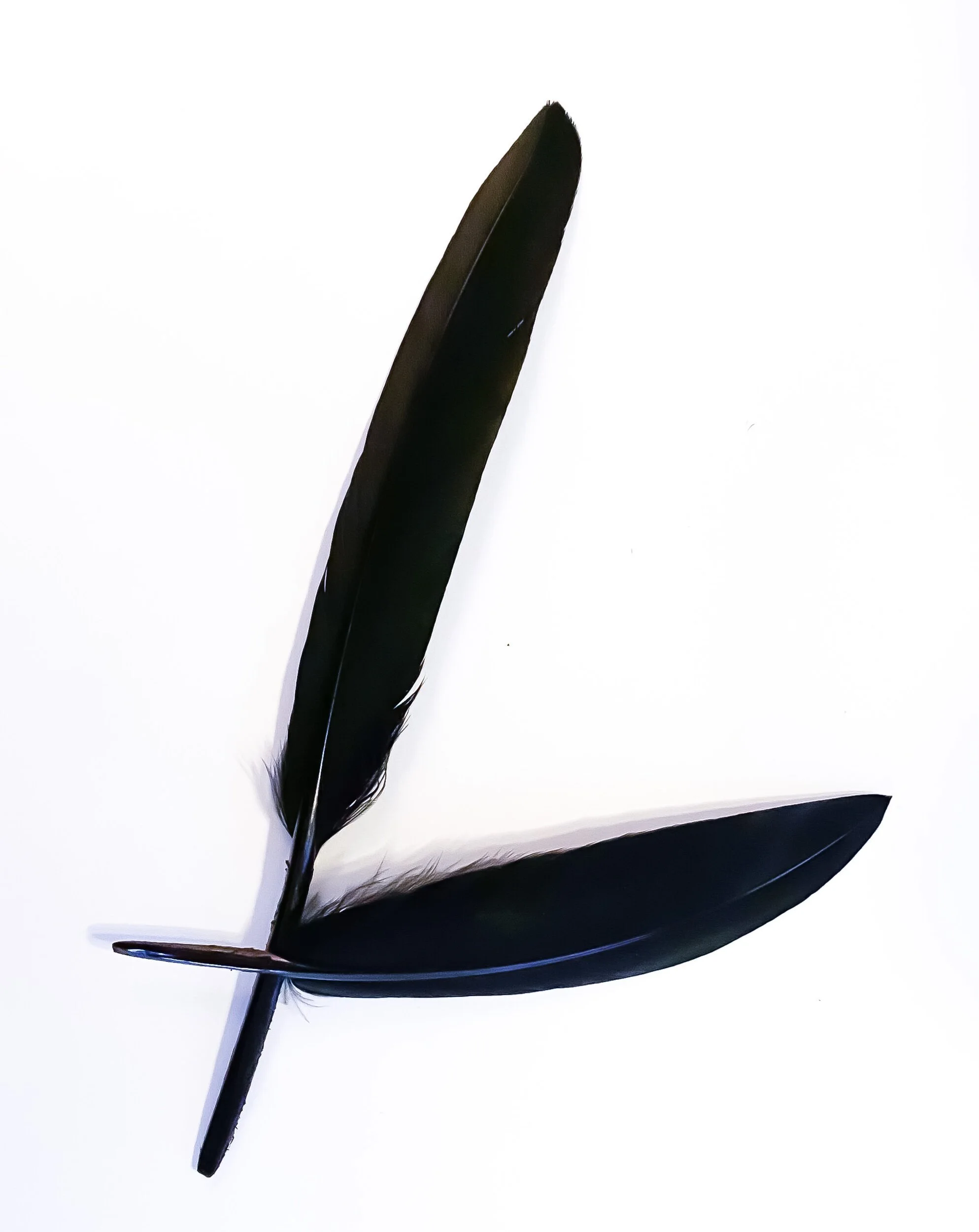 7DDA1FAD-DEC0-4A29-8AA9-E56015BDDB2D