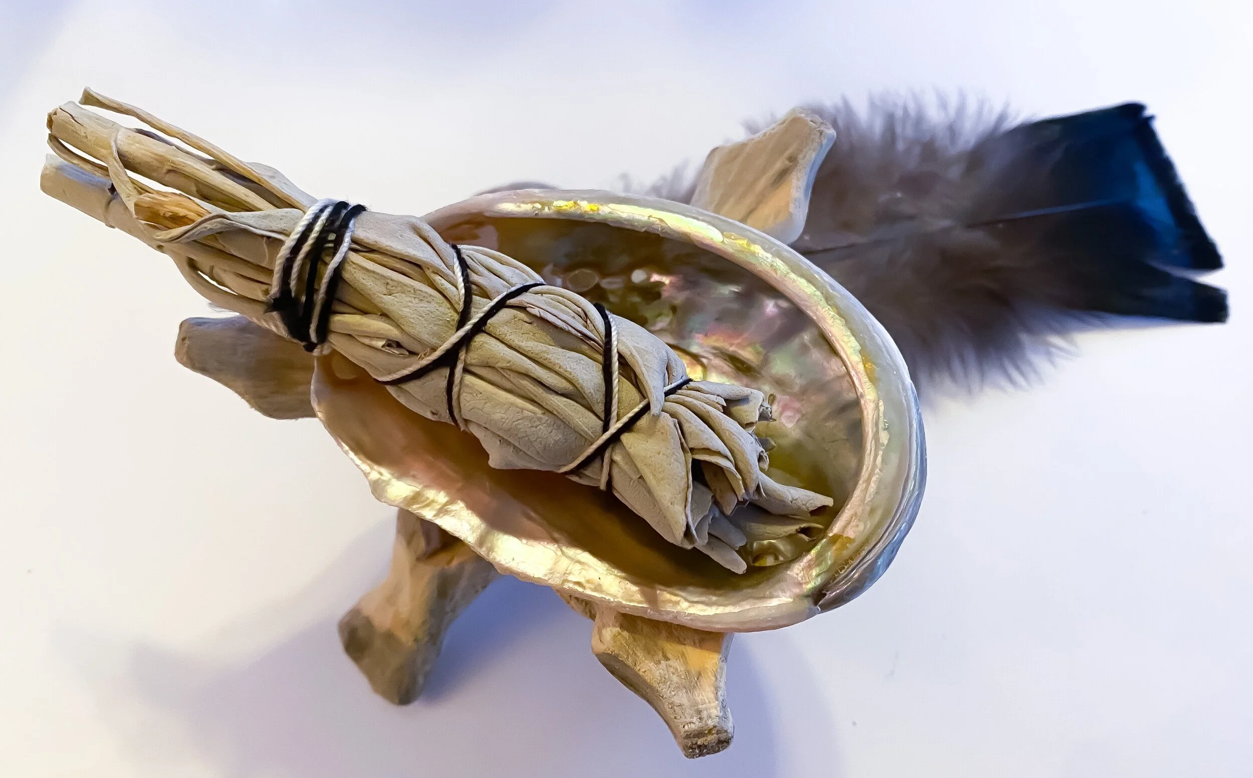 F63FC4BD-7E14-4F0F-9C89-24312A1F019E