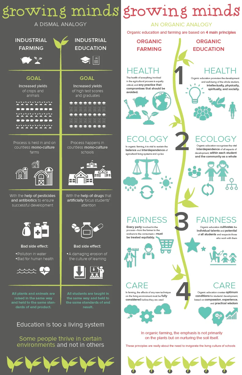 Growing Minds Infographic.jpg