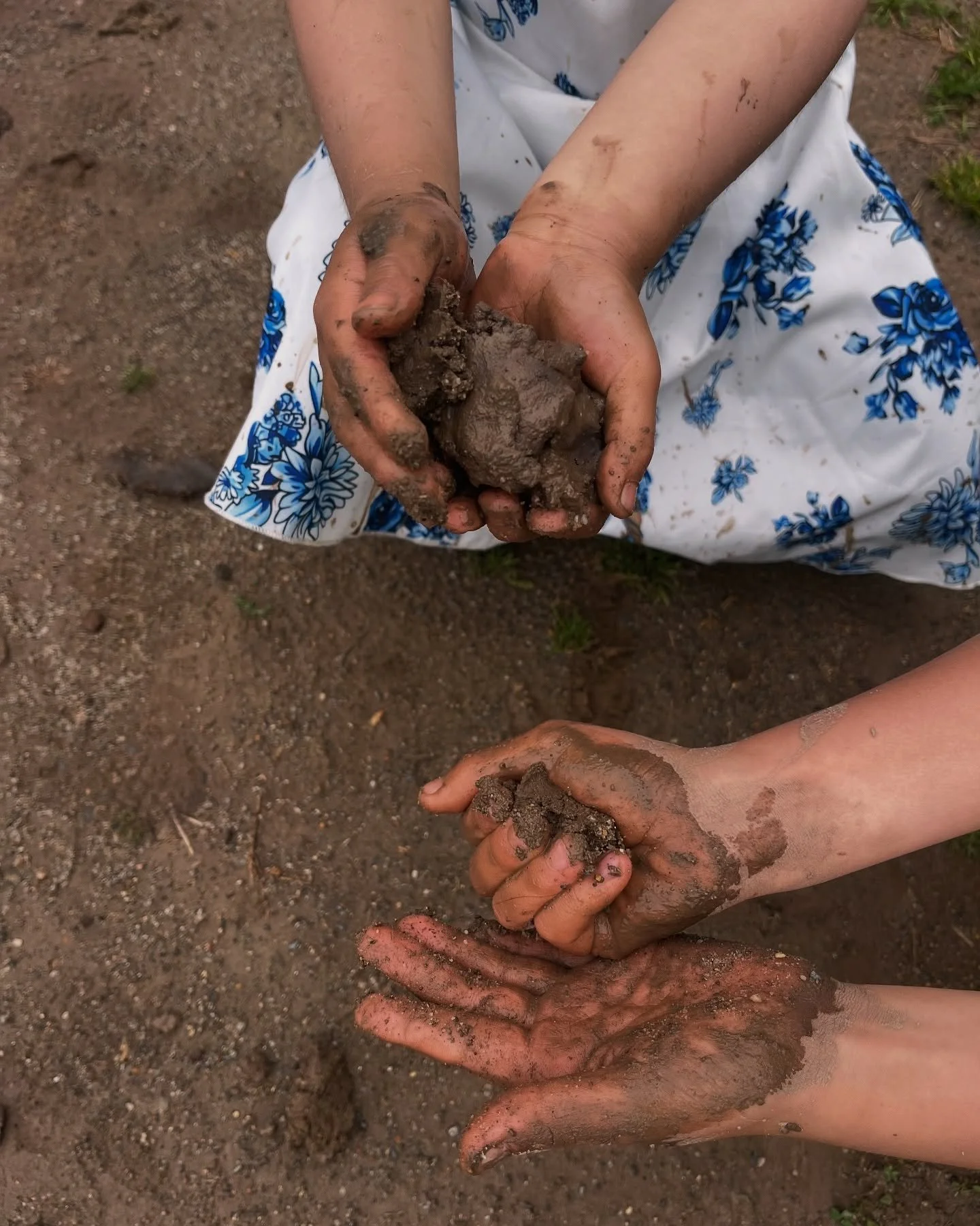 and just like that, it went from winter to summer in a blink of an eye 

rules for living: play with mud, eat wild berries, fight facism, accept gifts, make art, grow native plants, cook with friends, hug your family