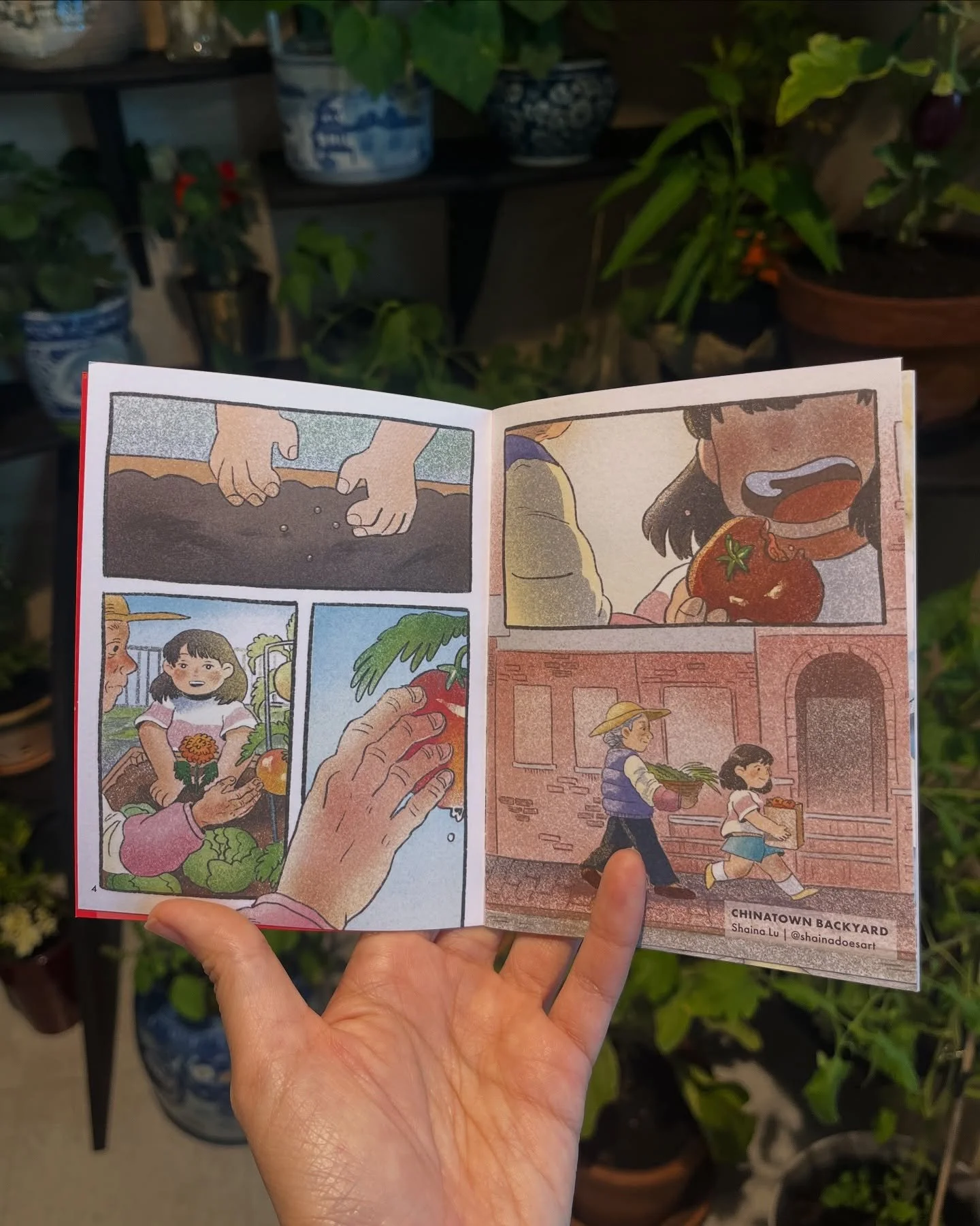 as the summer days slowly pass, a tomato slowly ripens, and a child and an elder grow their own food in Chinatown 🍅

so grateful to @paoartscenter and @gardnermuseum for inviting me to contribute to this very cool little zine (Between the Bricks: A 