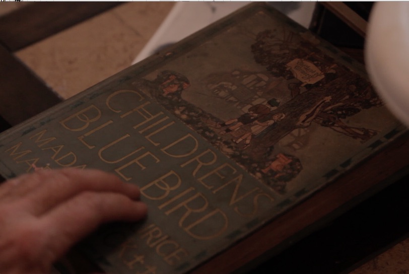 The beautiful Children's Blue Bird, which was full of elaborate illustrations