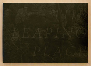 TheLeapingPlaceCover.jpg