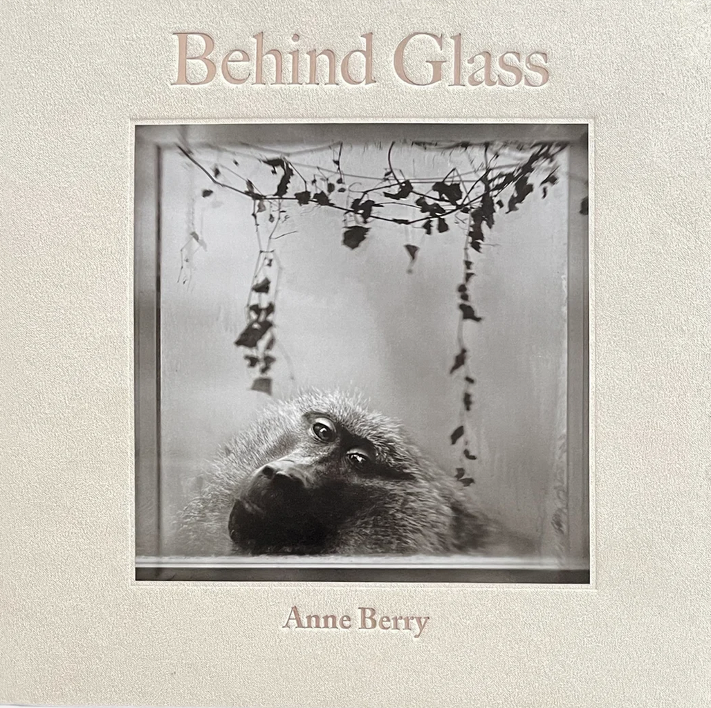 Anne Berry, Behind Glas (self-published)