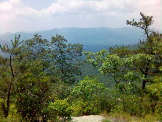 View-from-Big-Piney-Copy.jpg