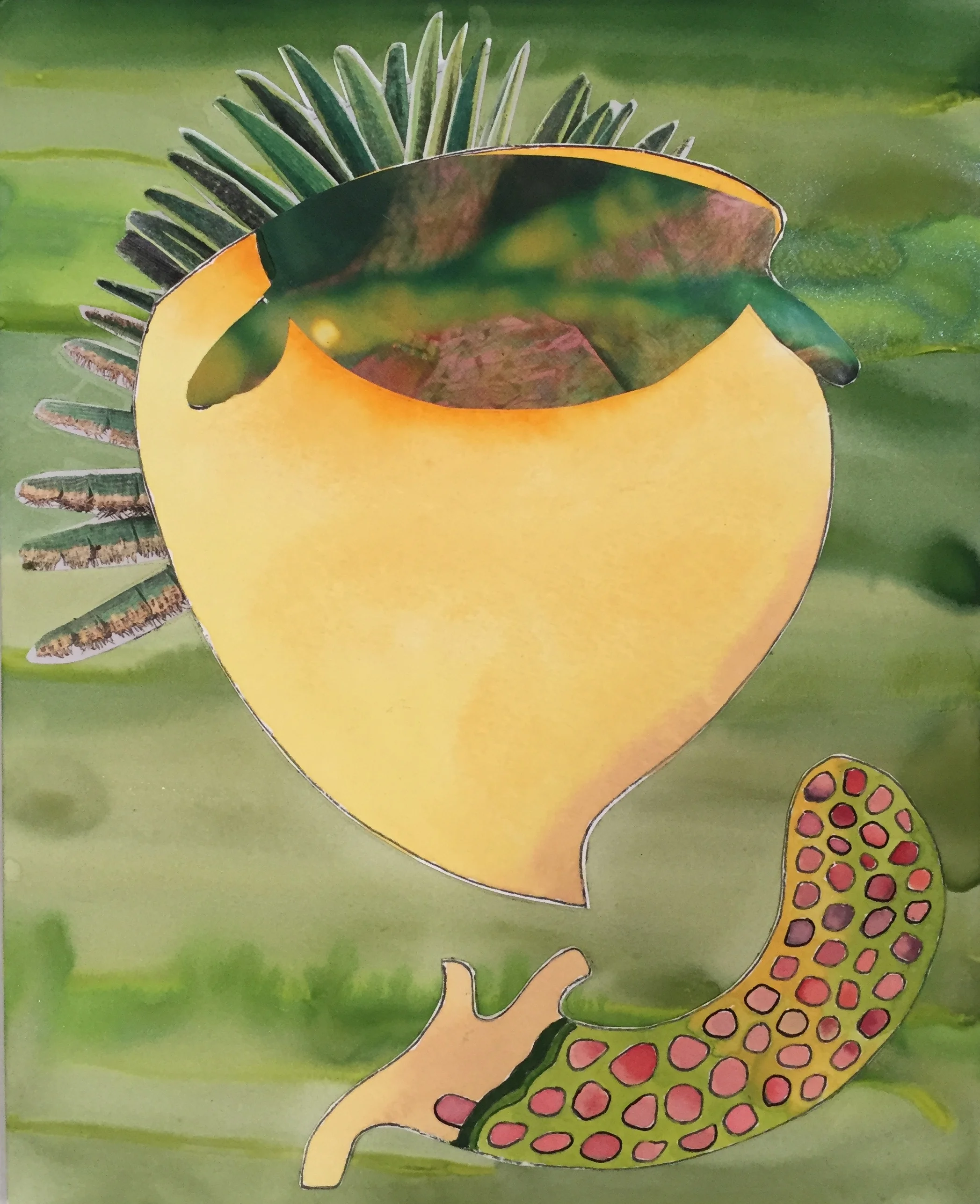 Mermaid Specimen 2016, Watercolor Paper & Resin, 18” x 24”