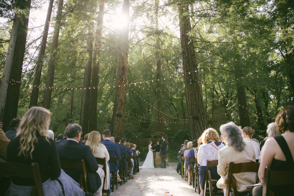 Redwood Forest Wedding